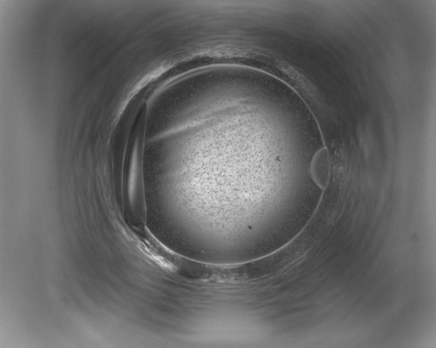 X0000081560727200701221026