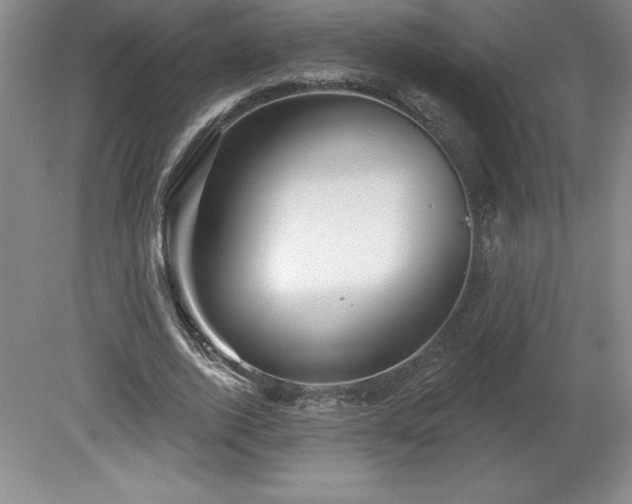 X0000081560728200701221026