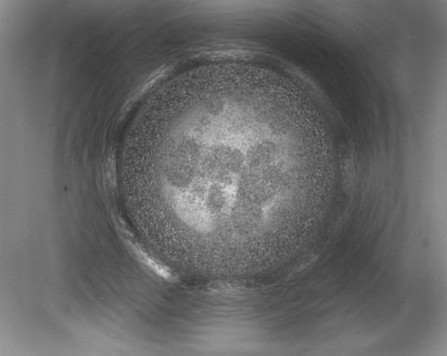 X0000081560729200701221026