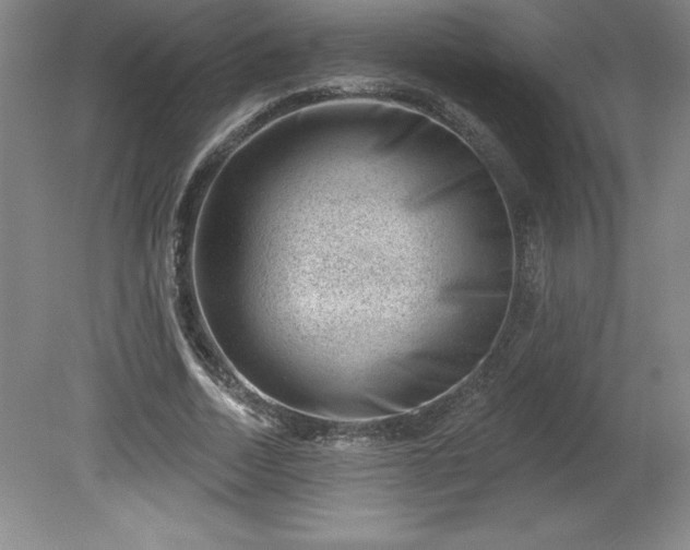 X0000081560730200701221026