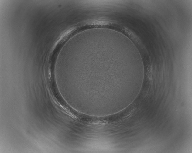 X0000081560731200701221026