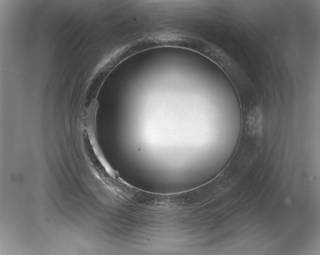 X0000081560732200701221026