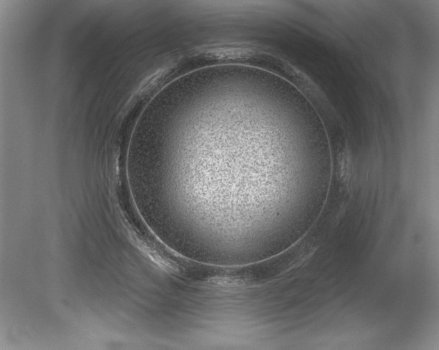 X0000081560733200701221026