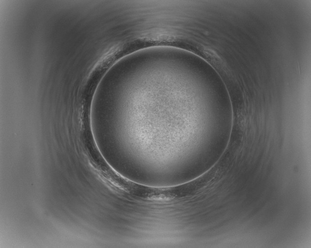 X0000081560735200701221026