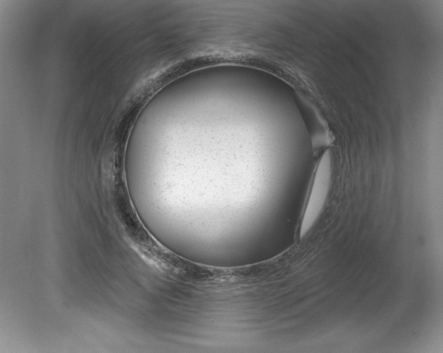 X0000081560736200701221026