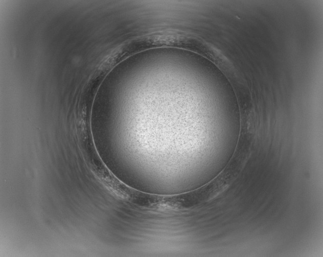 X0000081560737200701221026