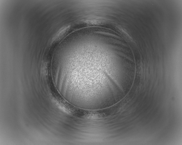 X0000081560738200701221026