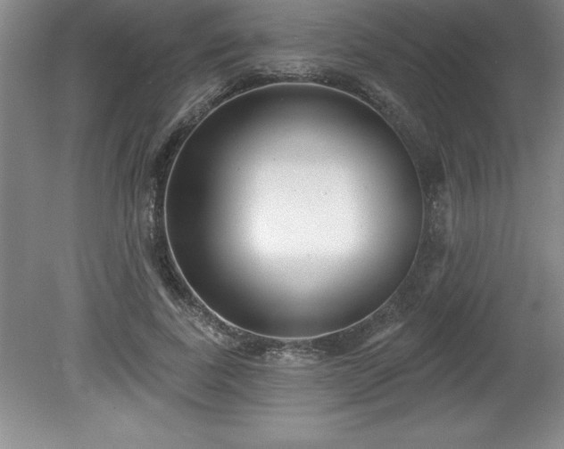 X0000081560739200701221026