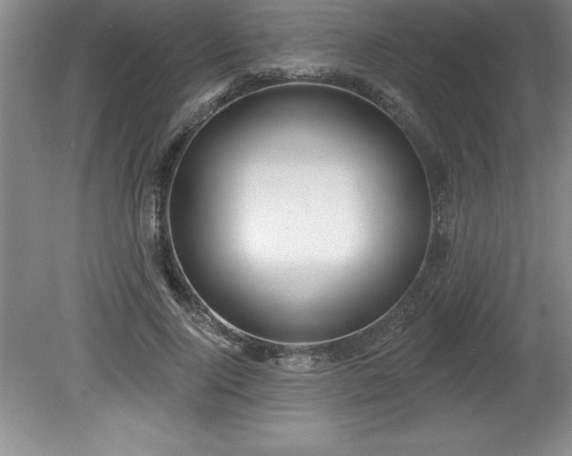 X0000081560740200701221026