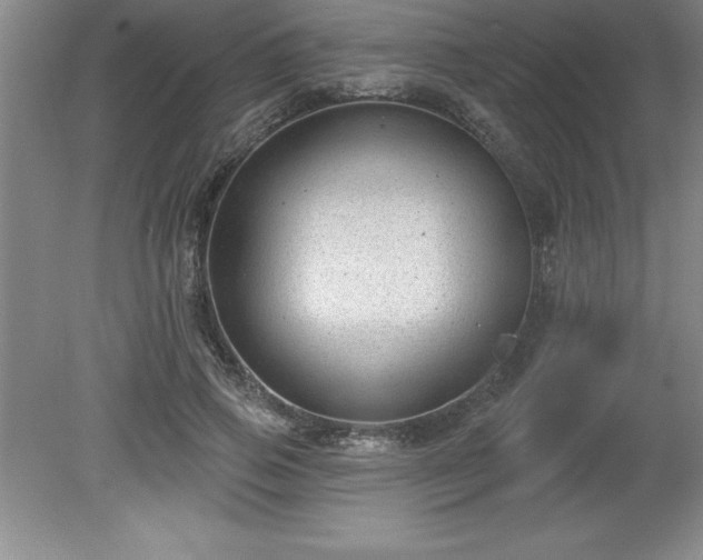 X0000081560741200701221026