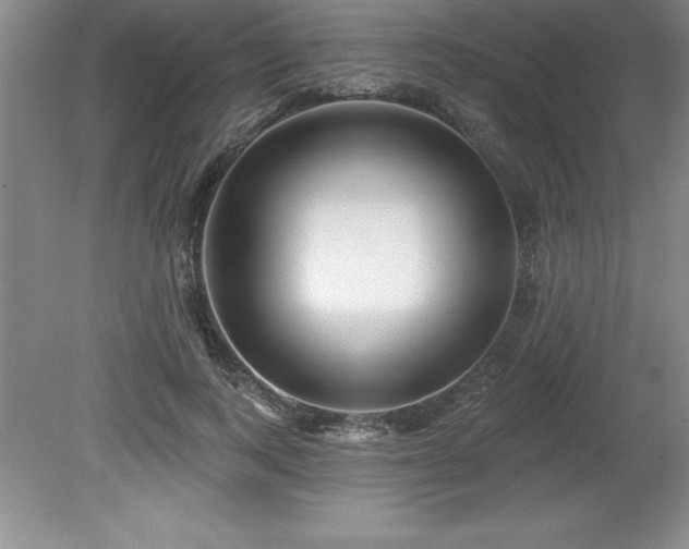 X0000081560743200701221026