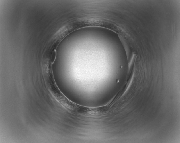 X0000081560744200701221026