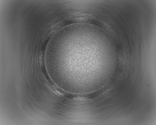 X0000081560745200701221026