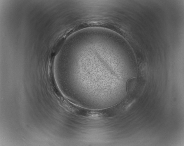 X0000081560746200701221026