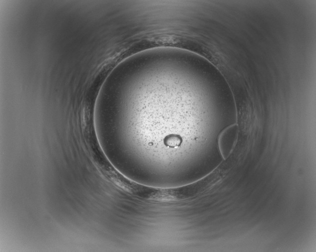 X0000081560747200701221026