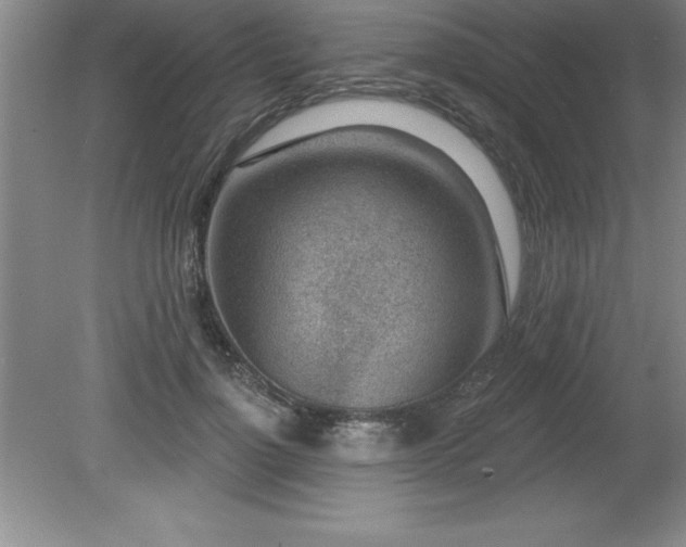 X0000081560748200701221026