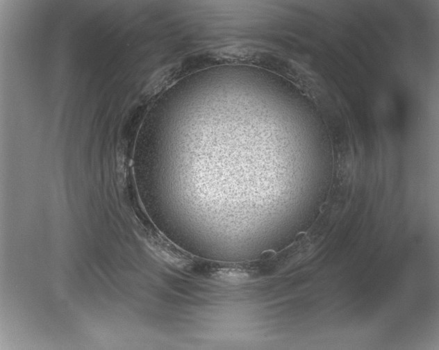 X0000081560749200701221026