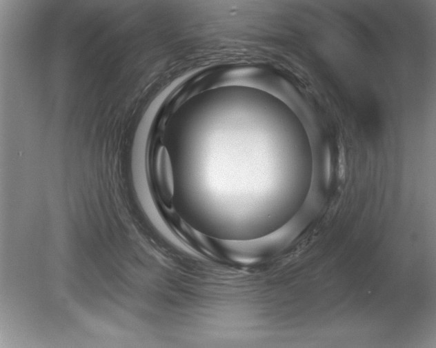 X0000081560750200701221026