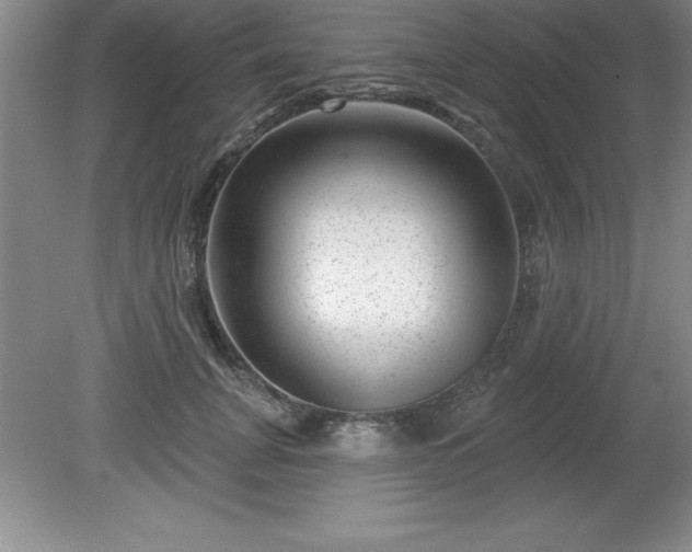 X0000081560751200701221026