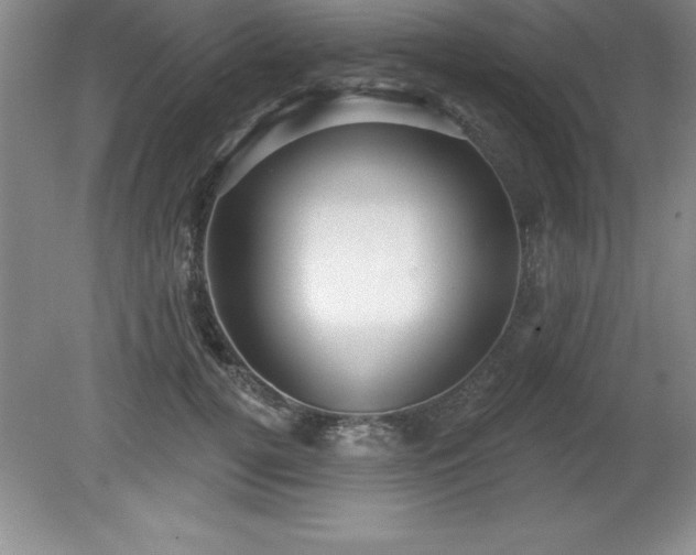 X0000081560752200701221026