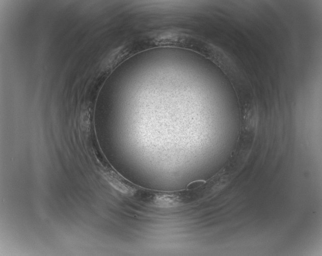 X0000081560753200701221026