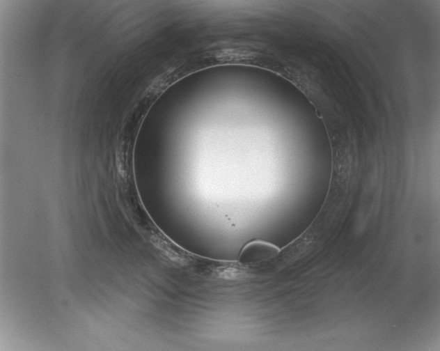 X0000081560755200701221026