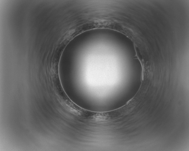 X0000081560756200701221027