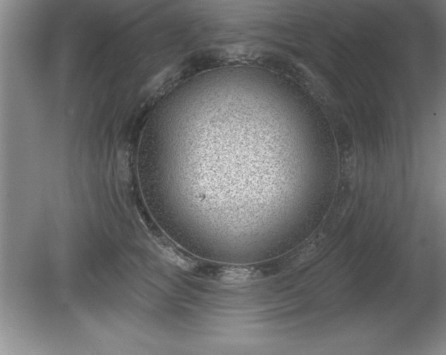 X0000081560757200701221027