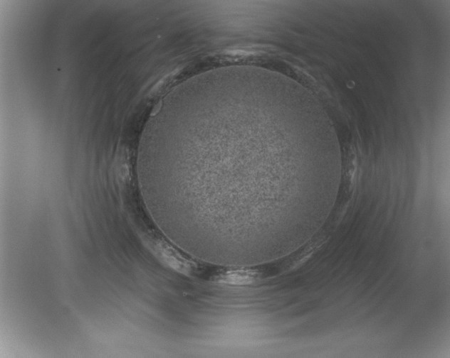 X0000081560758200701221027