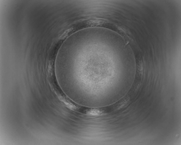 X0000081560759200701221027