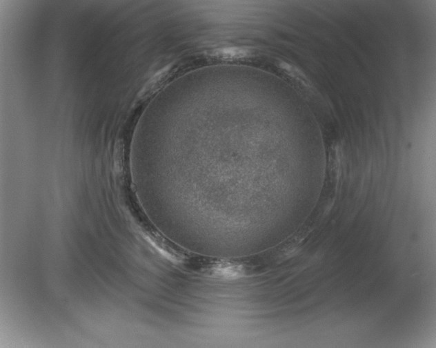 X0000081560760200701221027