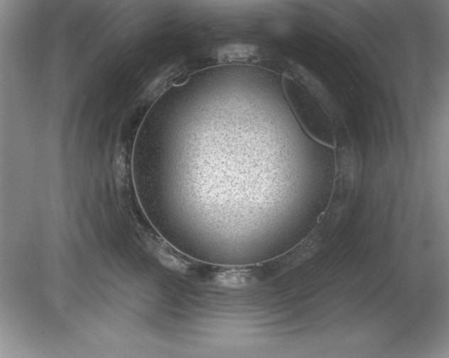 X0000081560761200701221027