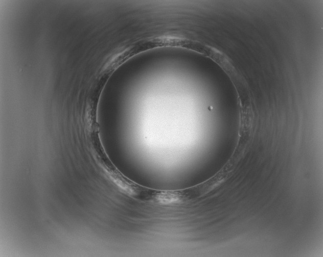 X0000081560762200701221027