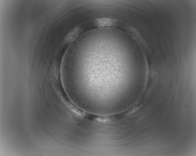 X0000081560763200701221027