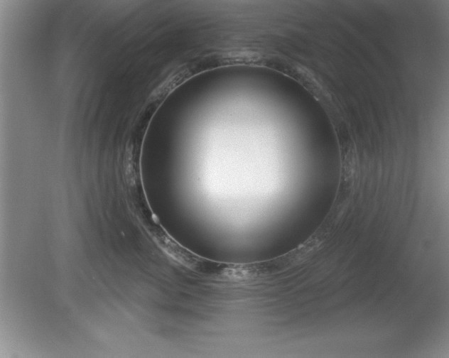 X0000081560764200701221027