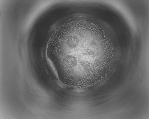 X0000081560765200701221027