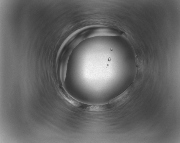 X0000081560766200701221027