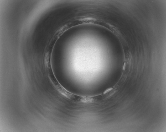 X0000081560767200701221027