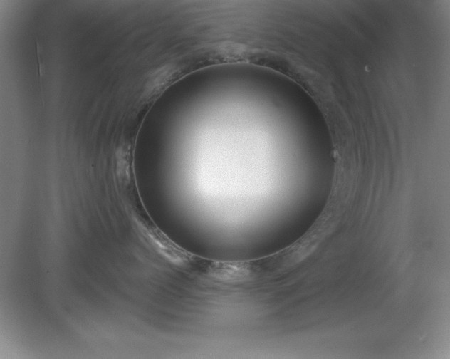 X0000081560768200701221027