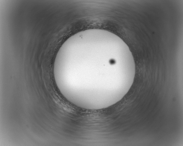 X0000081560769200701221026