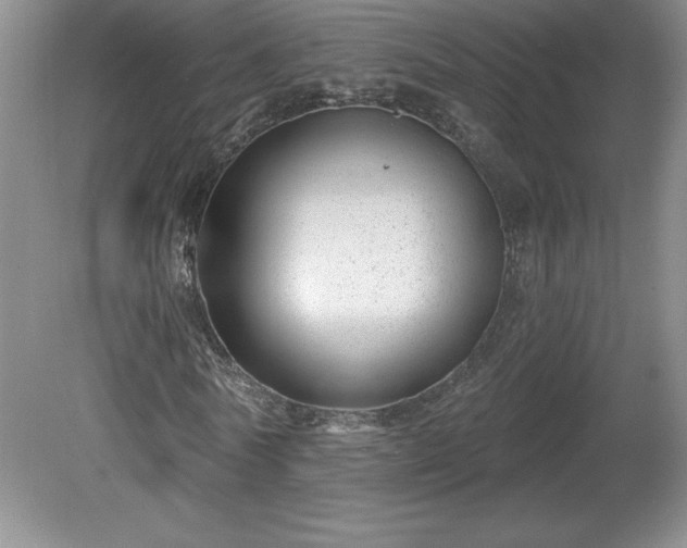 X0000081560770200701221026