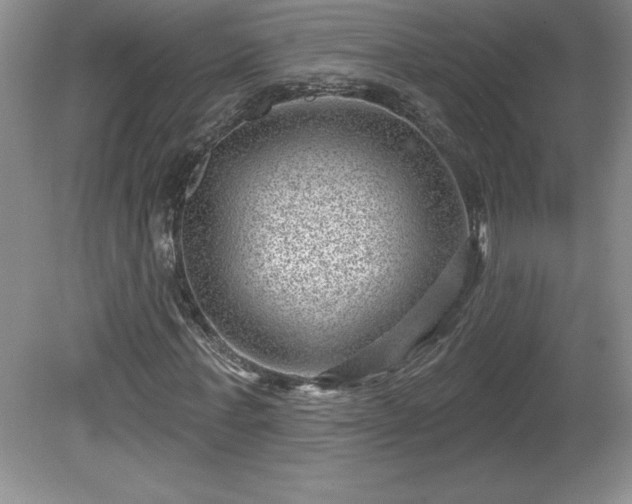 X0000081560771200701221026