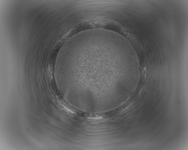 X0000081560772200701221026