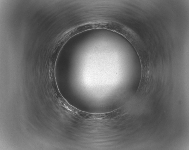 X0000081560773200701221026