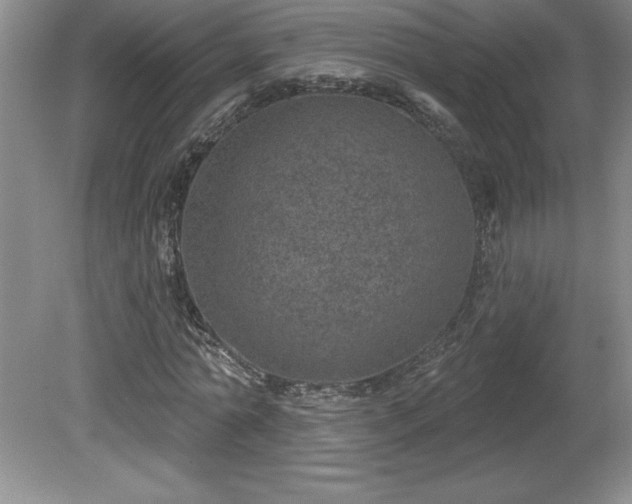 X0000081560774200701221026