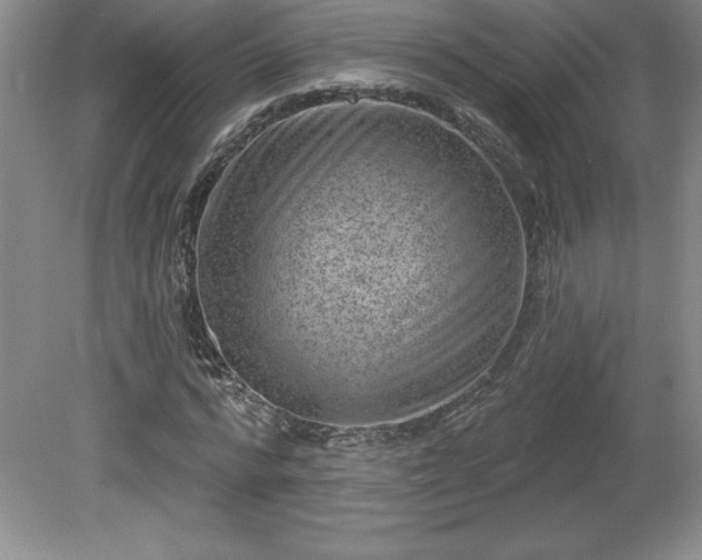 X0000081560776200701221026