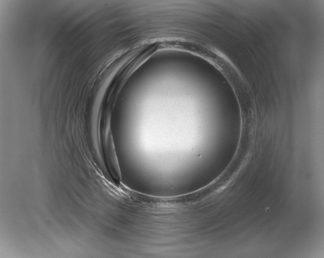 X0000081560777200701221026