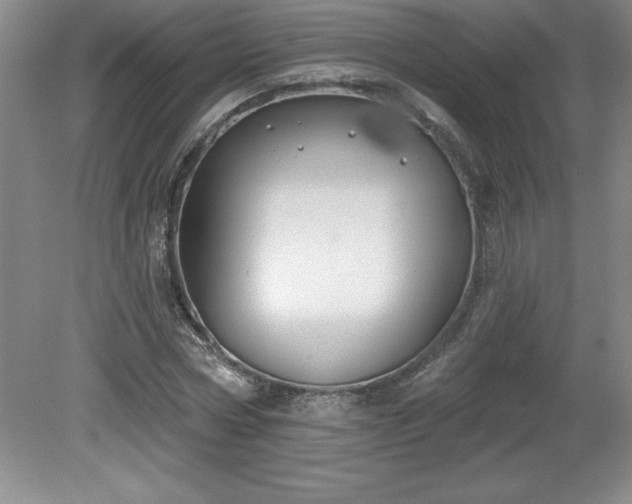 X0000081560778200701221026