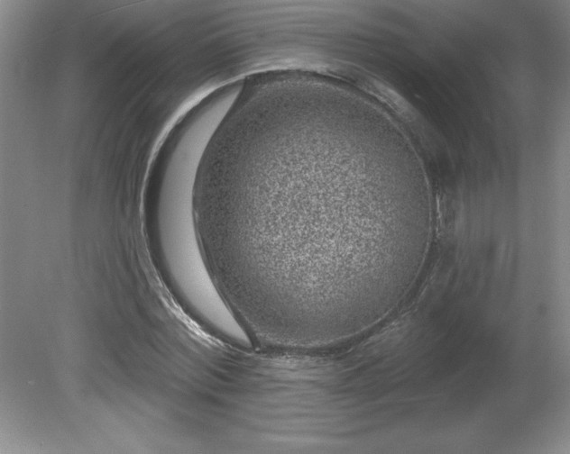 X0000081560780200701221026