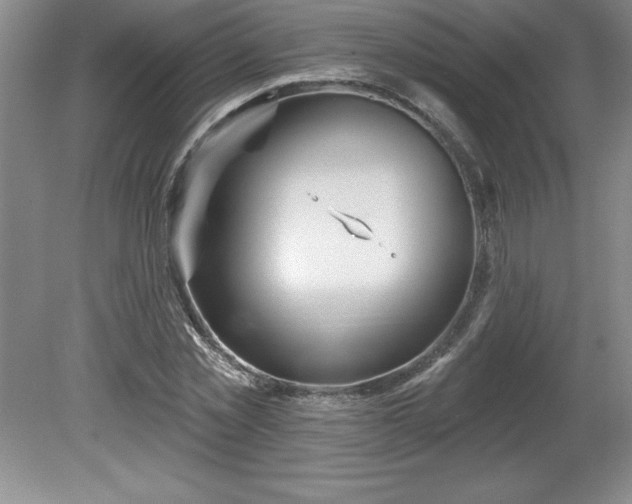 X0000081560781200701221026